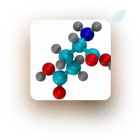 Amino acids