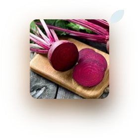Beet Root