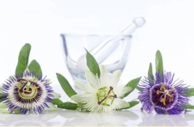 Passion Flower