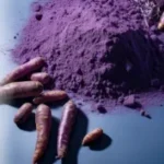 Purple Carrot Powder