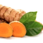 Turmeric Root