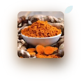 Turmeric
