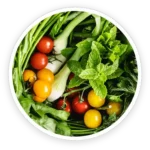 Chlorophyllin
