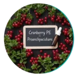 Cranberries