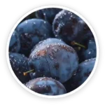 Prune